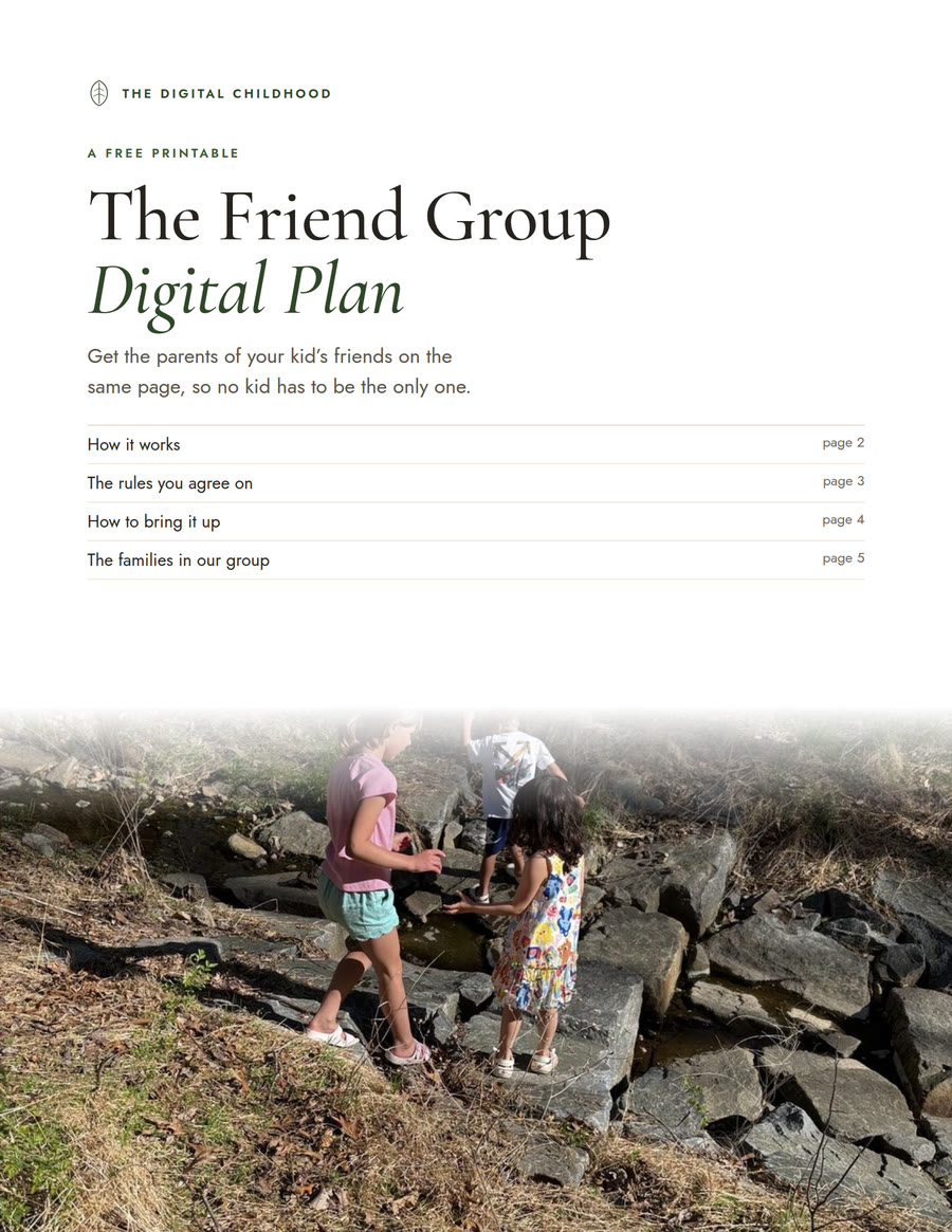 The Friend Group Digital Plan cover